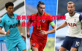 德信体育-斯佩齐亚全队合作默契，战胜对手