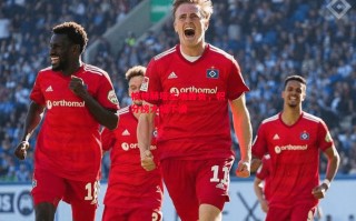 德信官网下载-柏林赫塔主场告负，积分榜大幅下滑