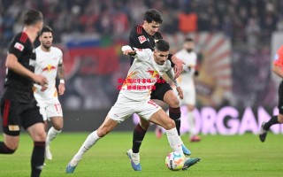 德信app下载-莱比锡红牛客场一球小胜，继续保持不败