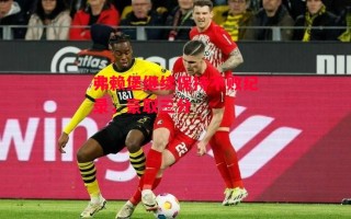 德信体育-弗赖堡继续保持不败纪录，豪取三分