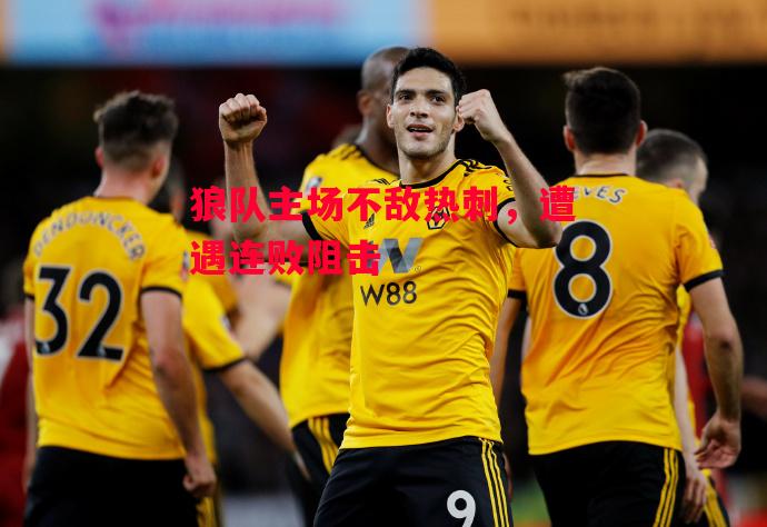 德信体育-狼队主场不敌热刺，遭遇连败阻击-第2张图片-德信体育