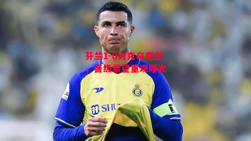 德信体育-芬兰1-0力克乌克兰,晋级希望重现曙光-第1张图片-德信体育 德信体育-芬兰1-0力克乌克兰,晋级希望重现曙光-第1张图片-德信体育