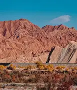 德信体育-新疆大学准备比赛，全队备战高度紧张-第2张图片-德信体育